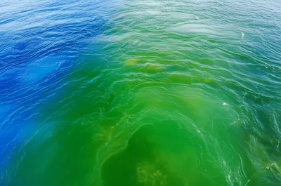 Illustration conjoining - Image 1