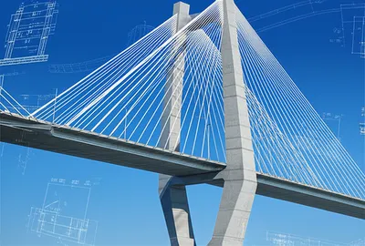 Illustration standards - Image 1