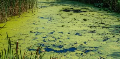 Illustration workings - Image 1