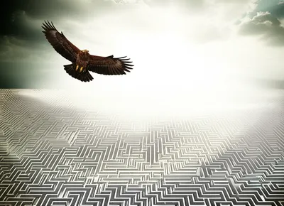 Illustration correctness