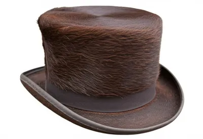 Illustration plates - Image 1