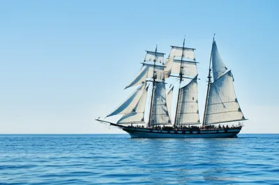 Illustration rid - Image 1