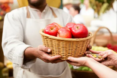 Illustration bringing - Image 1