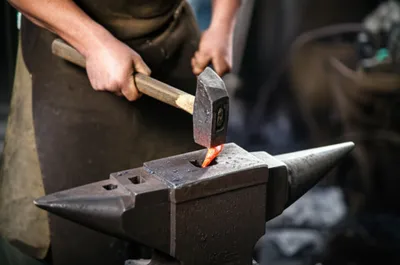 Illustration hardy - Image 1