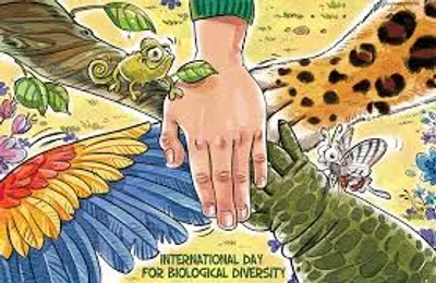 Illustration coexistence - Image 2