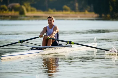 Illustration sculled - Image 1