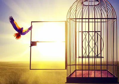 Illustration franchise - Image 1