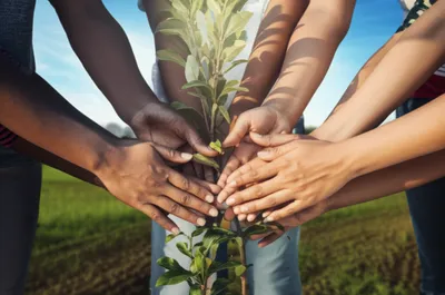 Illustration holding - Image 1