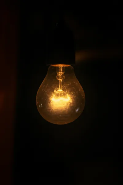 Illustration bulbs - Image 2