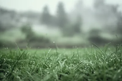 Illustration dagging - Image 1