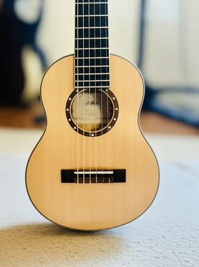 Illustration ukeleles - Image 1