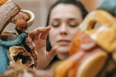 Illustration felt - Image 1