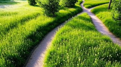 Illustration meandering - Image 1