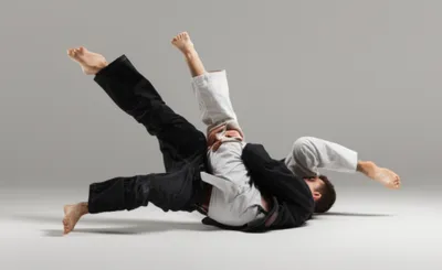 Illustration sweeps - Image 1