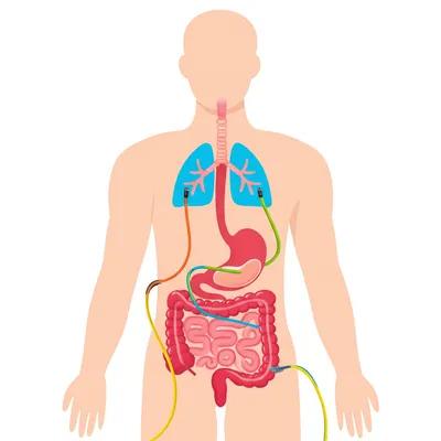Illustration scoped - Image 1
