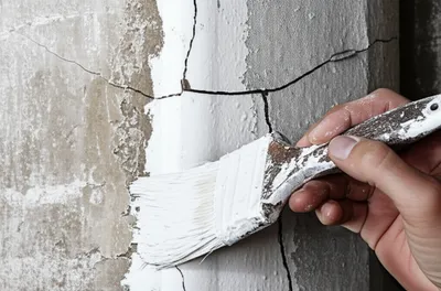 Illustration whitewashed - Image 1