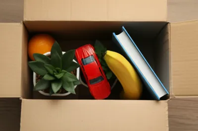 Illustration box - Image 1