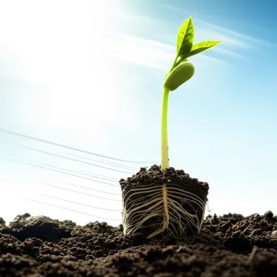 Illustration accelerate - Image 1