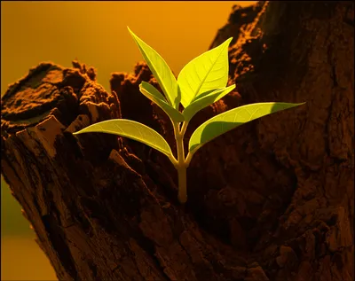 Illustration relive - Image 1