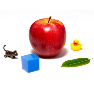 Illustration maximal - Image 1