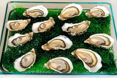 Illustration stews - Image 1