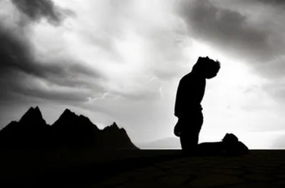 Illustration howling - Image 1