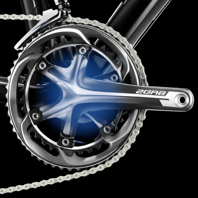 Illustration spiders - Image 1