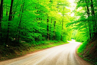 Illustration thither - Image 1