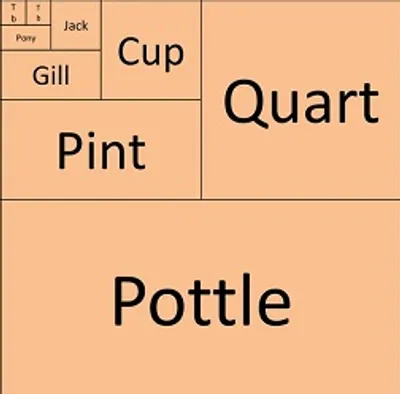 Illustration gill - Image 2