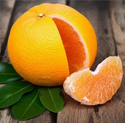 Illustration grapefruit - Image 1