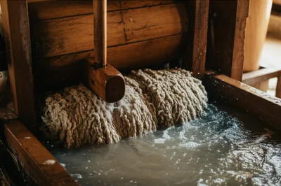 Illustration stock - Image 1