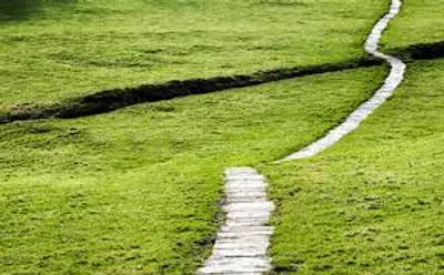 Illustration path - Image 2