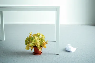 Illustration terminated - Image 1