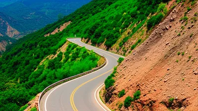 Illustration reverses - Image 1