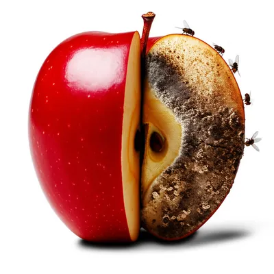 Illustration corrupted - Image 1