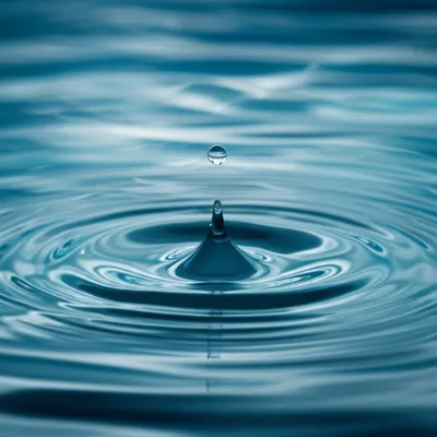 Illustration units - Image 1