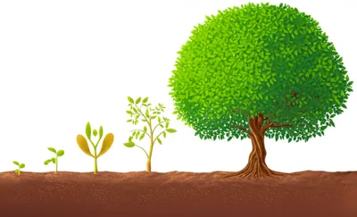 Illustration growing - Image 1