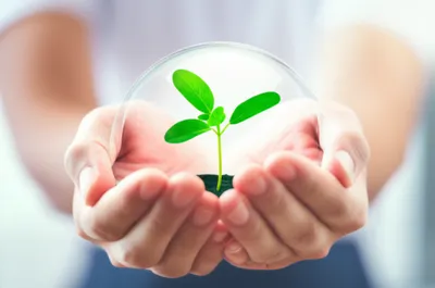 Illustration cases - Image 1