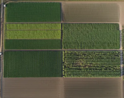 Illustration subplots - Image 1