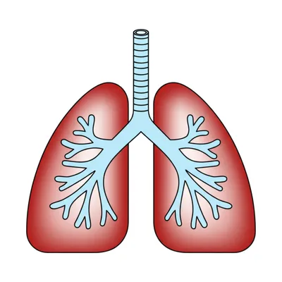 Illustration breathing - Image 1