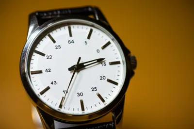 Illustration present - Image 1