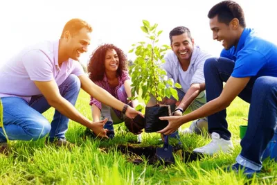 Illustration friendships - Image 1