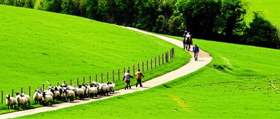 Illustration bridleway - Image 1