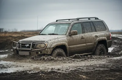 Illustration mired - Image 1