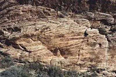 Illustration massive - Image 3