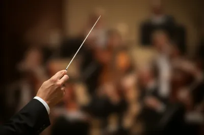 Illustration arses - Image 1