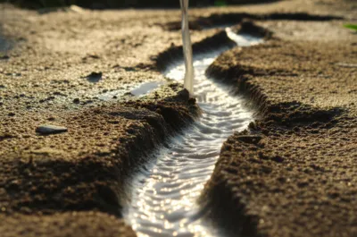 Illustration grip - Image 1