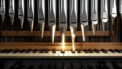 Illustration trackers - Image 1