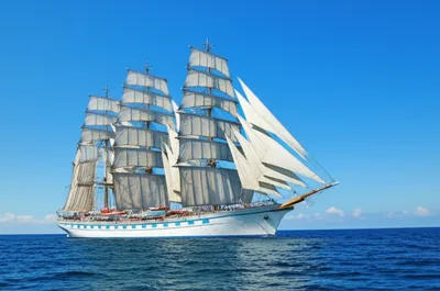 Illustration suit - Image 1