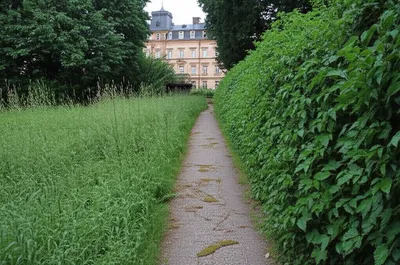 Illustration entails - Image 1